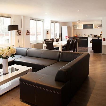 Le Corbeau - Grand Appartement Strasbourg Centre, Calme Екстериор снимка